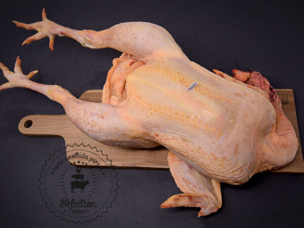 Frango do campo